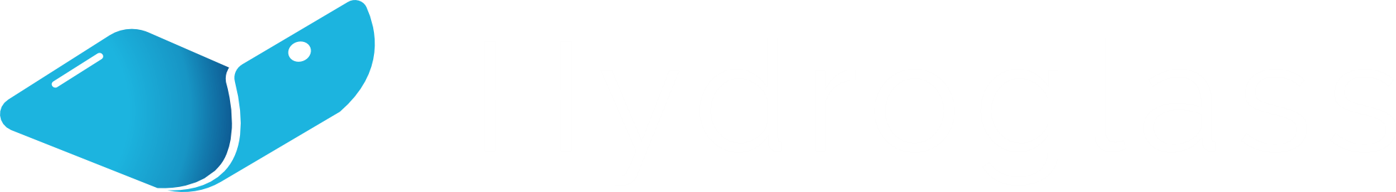 Hydroglass Logo